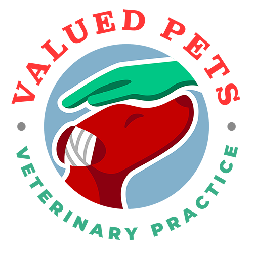 valued pets veterinary practice